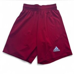 Adidas Men's Burgundy Athletic Shorts